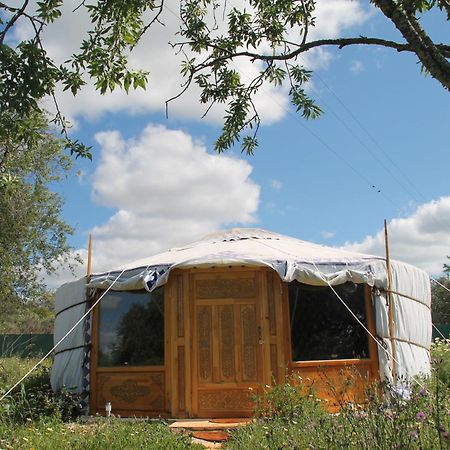 Tiny House Eco Resort Estevais Eksteriør bilde